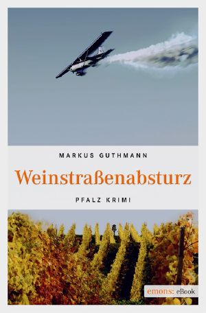 [Röder & Hellinger 04] • Weinstraßen Absturz